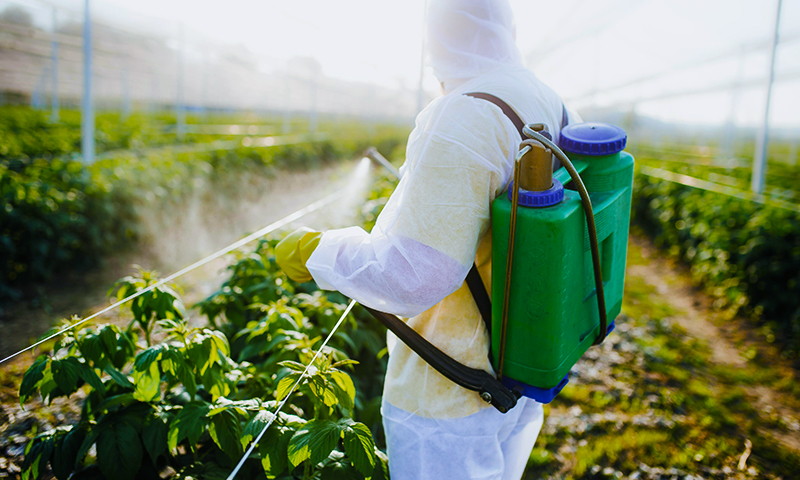 产品出口到50多个国家